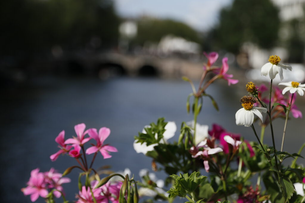 Auszeit in Amsterdam